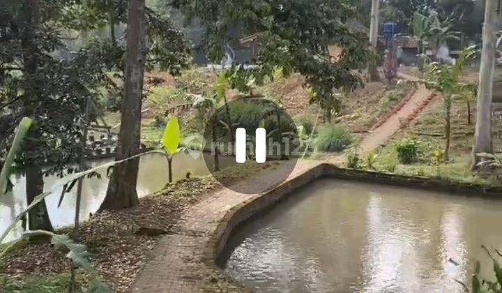 Tanah 5000 m plus rumah dan kolam di Pandeglang cocok untuk Investasi 2