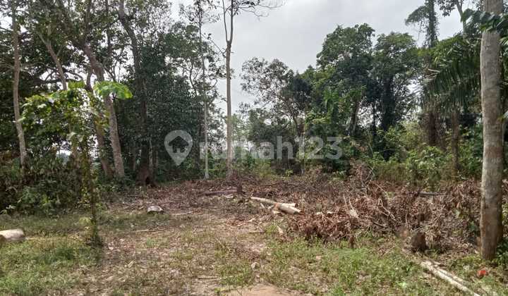 Tanah dekat jalan 3000 m di Rangkas Bitung Banten