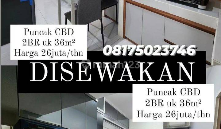 Apartement Wiyung Puncak Cbd Minimalis Dekat Ke Tol  Dekat Ptc Siap Huni Furnish Bagus  Murah Pol  2