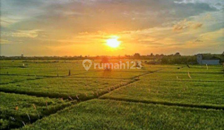 Apartment In Denpasar Near To Seminyak And Sunset Road, Kuta, Bali  4