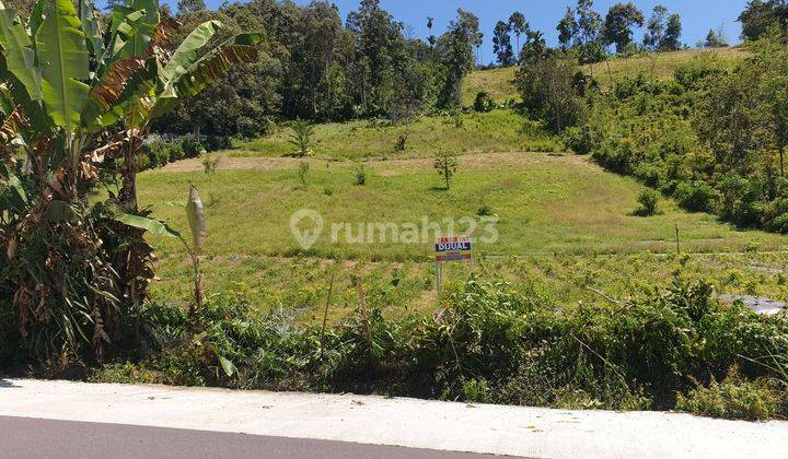 Tanah Kebun Di Sukau Lampung Barat 1