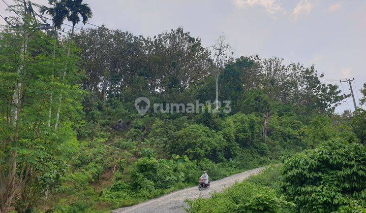 Tanah Kebun Jati 315 Batang Di Kota Batu Ranau Jalan Utama Menuju Wisata Air Panas Danau Ranau Dan Gunung Seminung Kab.oku Selatan Provinsi Sumatera Selatan 1