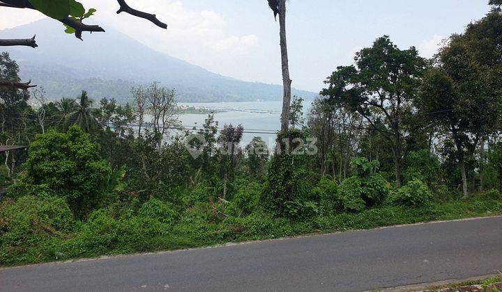 Tanah Kebun Murah Jalan Utama Menghadap Danau Ranau Dan Gunung Seminung Oku Selatan, Sumatera Selatan Sangat Cocok Untuk Bangun Cottage Atau Tempat Tinggal Atau Usaha Lain 2