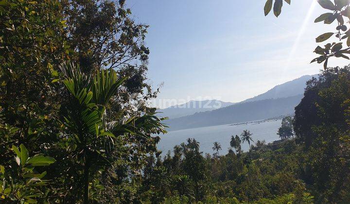 Tanah Kebun Jati 315 Batang Di Kota Batu Ranau Jalan Utama Menuju Wisata Air Panas Danau Ranau Dan Gunung Seminung Kab.oku Selatan Provinsi Sumatera Selatan 2