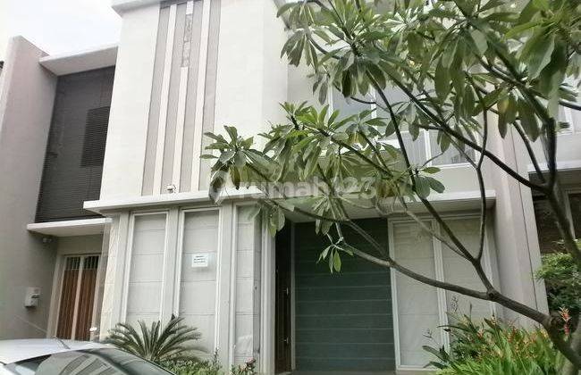 Very Nice House, With Private Pool And Comfy 3 Bedrooms One Gate 24 Hours Security Housing Compound In Bangka Area Near Kemang And Scbd 1