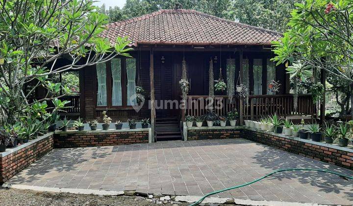 TANAH VILLA KEBUN JATI UNTUK CAFFE & RESTO KEBUN CIAMPEA BOGOR TANAH VILLA KEBUN JATI UNTUK CAFFE & RESTO KEBUN CIAMPEA BOGOR