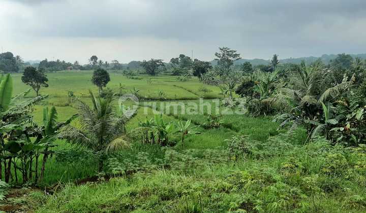 Tanah Murah View Indah Jalur Wisata Pamijahan Bogor 1