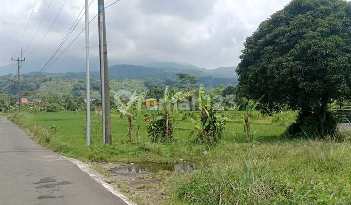 Tanah Subur Murah View Cantik Jalur Wisata Pamijahan Bogor 1