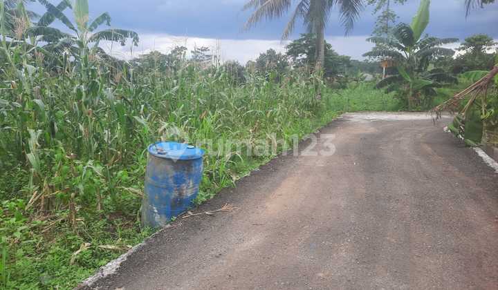 Tanah Gerbang 2 IPB dramaga  Untuk Kost Mahasiswa