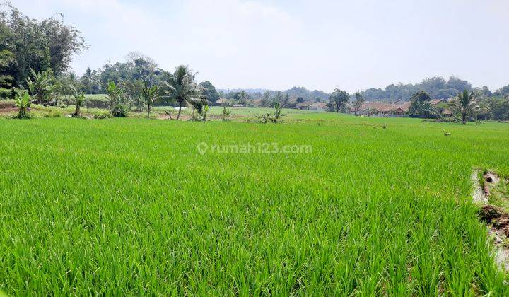 Tanah Murah Jln Setu Ilir Dekat Wisata Dan Pasar 1