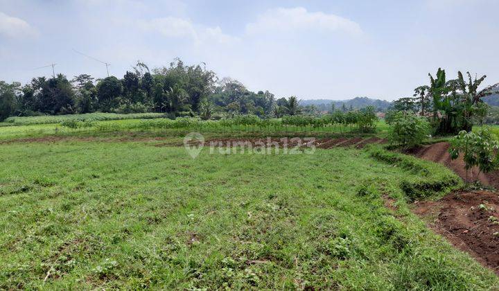 Tanah Murah Jln Setu Ilir Dekat Wisata Dan Pasar 2