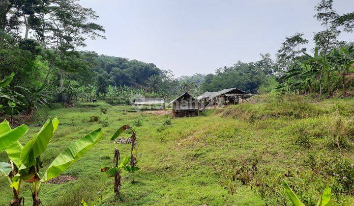 Tanah Jalur Wisata Jln Situ Daun Dekat Wisata Gunung Salak 2