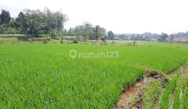 Tanah Subur Jl Situ Daun Dekat Wisata Dan PasaR 1