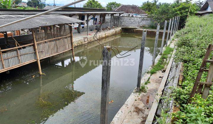 Rumah Kolam Ikan Tapos Tenjolaya Jalur Wisata Gunung Salak Endah 1