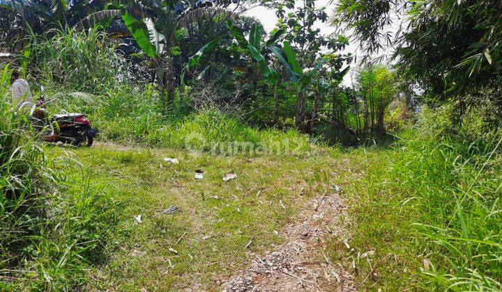 Tanah Kapling Murah Cicadas Ciampea Dekat Perum Araya Dan Wisata 1