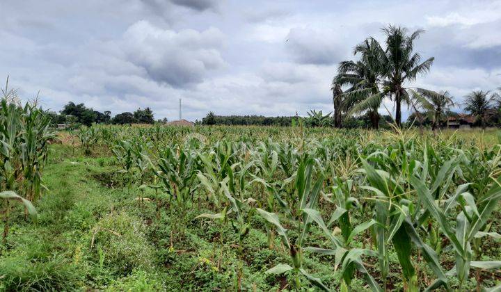 Tanah Subur View Bagus Jl Gunung Leutik Dekat Kampus I P B 2