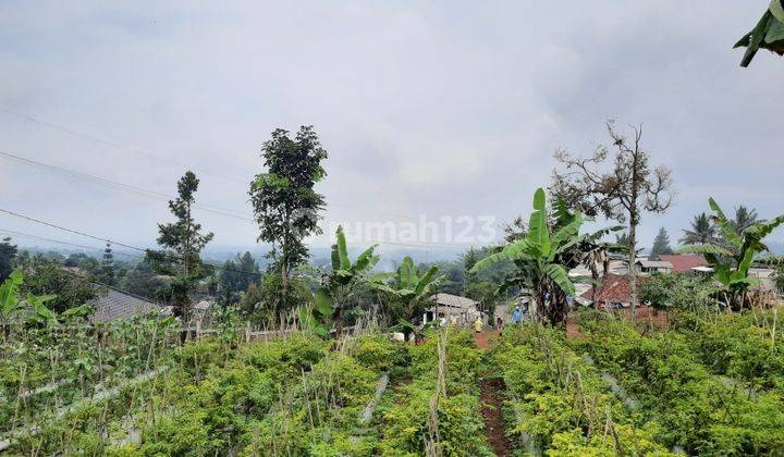 Tanah Subur Strategis View Bagus Mega Mendung Untuk Villa Kebun 1