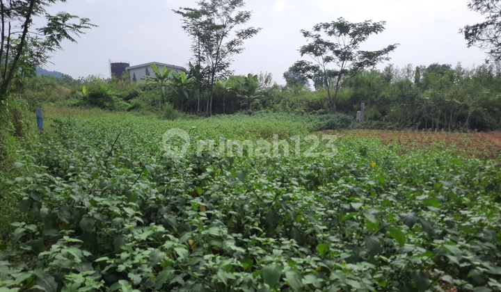 Tanah Subur Untuk Villa Kebun View Gunung Ciampea Bogor Tanah Subur Untuk Villa Kebun View Gunung Ciampea Bogor