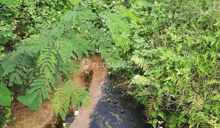 Tanah Subur Untuk Villa Kebun Ada Mata Air View Gunung Kapur  2