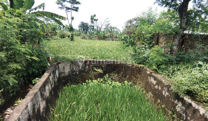 Tanah Subur View Gunung Cocok Untuk Villa Kebun Jalur Wisata 2