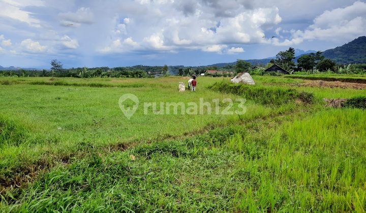 Tanah Subur Strategis View Gunung Jalan Kabupaten Leuwiliang 2
