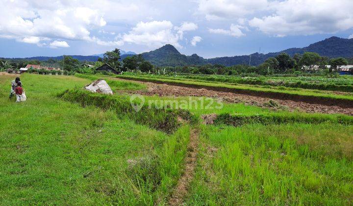 Tanah Subur Strategis View Bagus Jl Kabupaten Leuwiliang Bogor  1