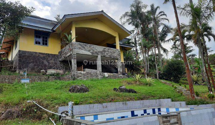 Villa Kebun Eksotik Jalur Wisata Gunung Salak Endah 1