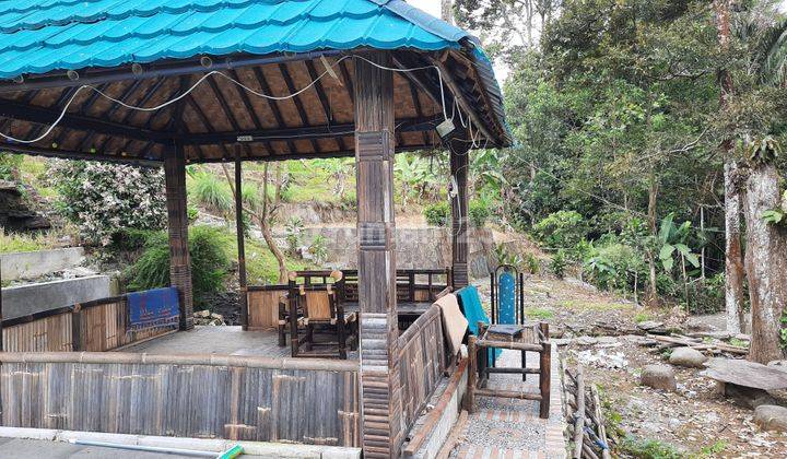 Villa Kebun Eksotik Jalur Wisata Gunung Salak Endah 2