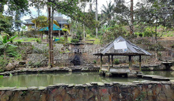 Villa Kebun Eksotik Jalur Wisata Gunung Salak Endah 2