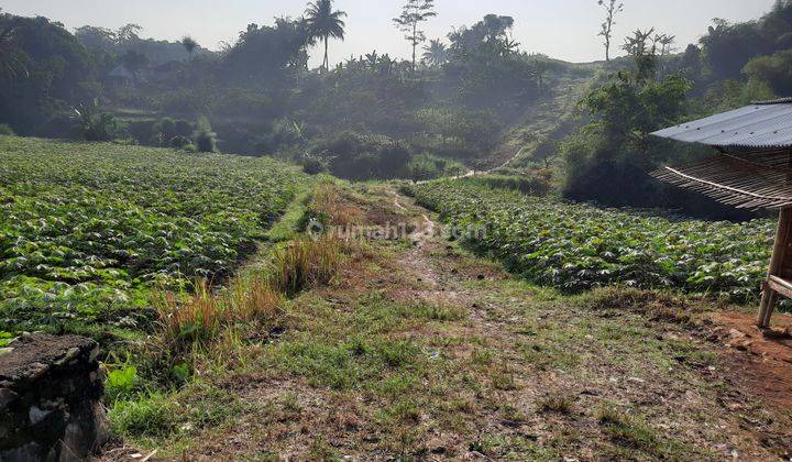 Tanah Bagus View Gunung Cocok Untuk Pesantren Dan Perumahan 1