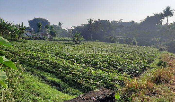 Tanah Bagus View Gunung Cocok Untuk Pesantren Dan Perumahan 2