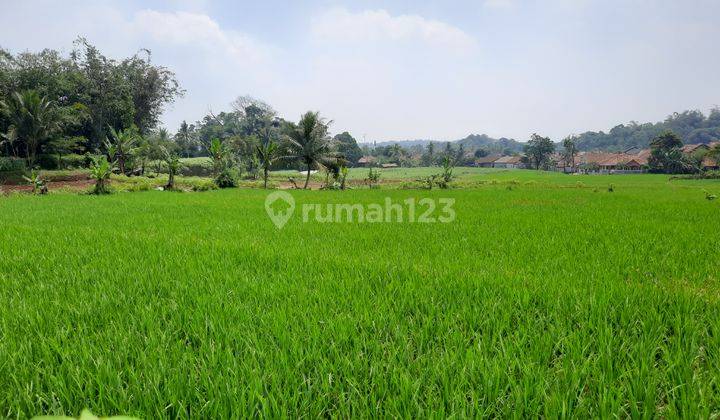 Tanah Subur View Bagus Untuk Pertanian Yayasan Villa Kebun 1