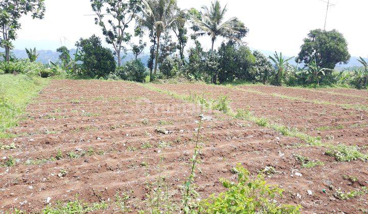 Tanah Subur View Bagus Untuk Pertanian Yayasan Villa Kebun 2