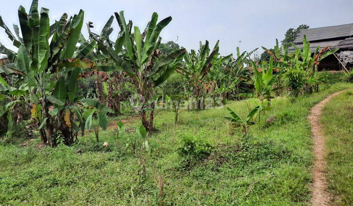 Tanah Subur Cocok Untuk Peternakan Dan Villa Kebun Ada Mata Air  1