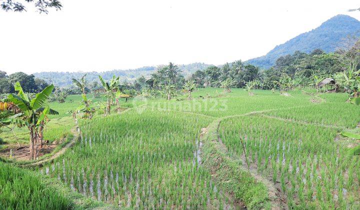 Tanah Sawah Subur Air Bagus Akses Jalan Desa Untuk Pertanian 2