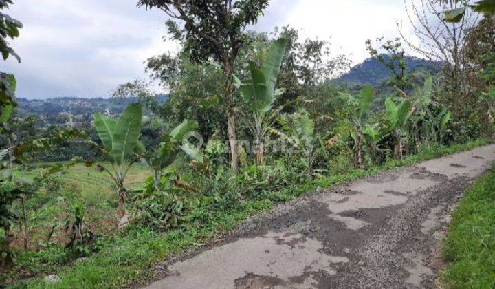 Tanah Cantik Dekat Kopi Tubing Wisata Gunung Salak Untuk Villa  2