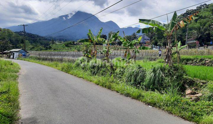 Tanah Strategis Jalur Wisata View Bagus Cocok Untuk Agro Wisata 2