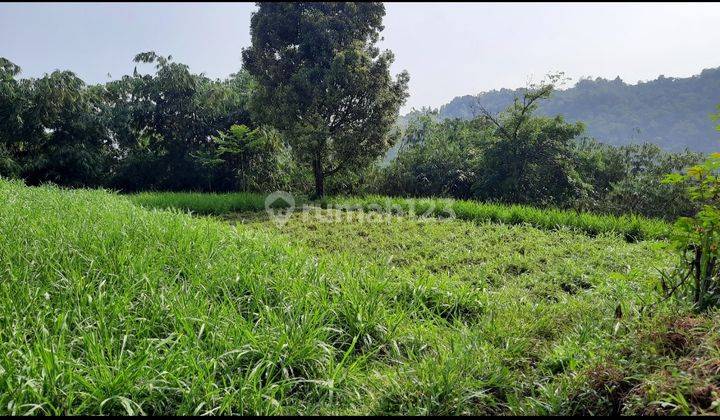 Tanah Murah Kawasan Wisata Cocok Untuk Villa Kebun Dan Pertanian  2