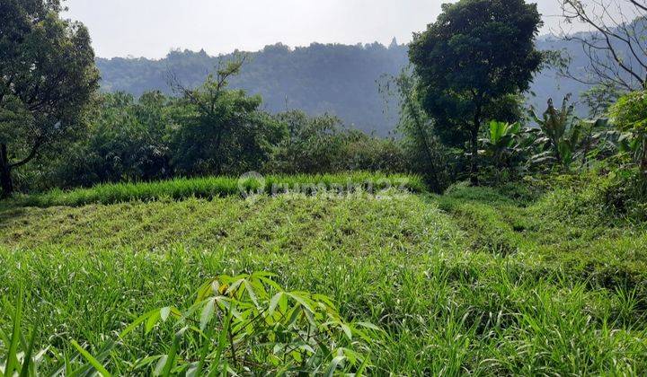 Tanah Murah Kawasan Wisata Cocok Untuk Villa Kebun Dan Pertanian  1