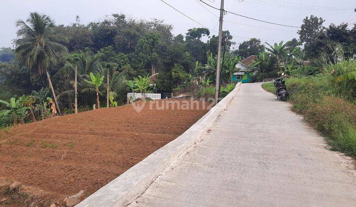 Tanah Perkebunan di Bogor Luas 500 M2 Sisi Jalan 1