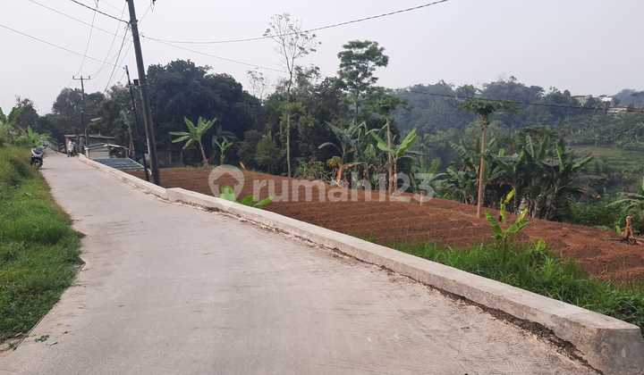 Tanah kebun Depan Jalan Desa Gunung Bunder Bogor 