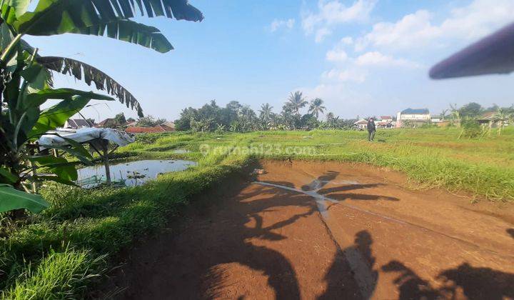 Tanah SHM Pertanian Subur di Bogor Bisa Untuk Peternakan 2