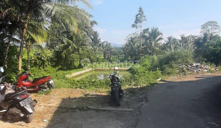 Tanah Kolam Ikan di Bogor Strategis Depan Jalan Desa 2