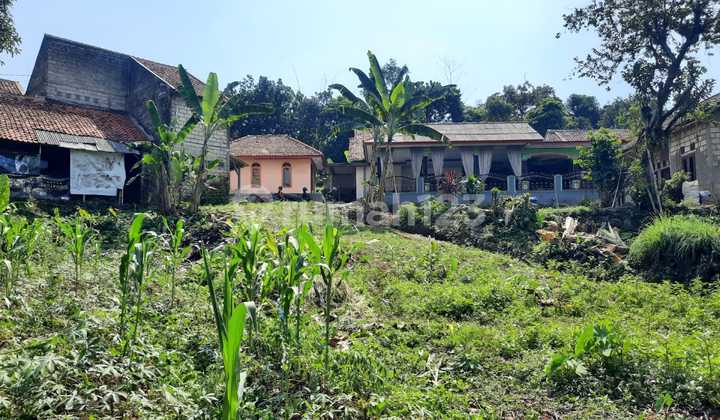 Tanah SHM Murah 50% Dibawah NJOP di Dramaga Bogor