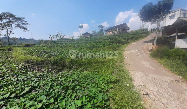 Tanah Murah Untuk Villa Dan Kebun di Bogor Luas 1000 M2 2