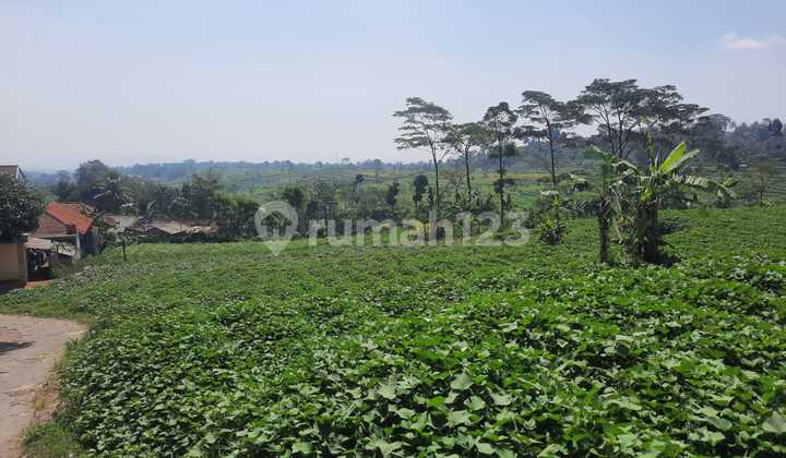 Tanah Bagus View Catik Untuk Villa Kebun Tenjolaya Bogor
