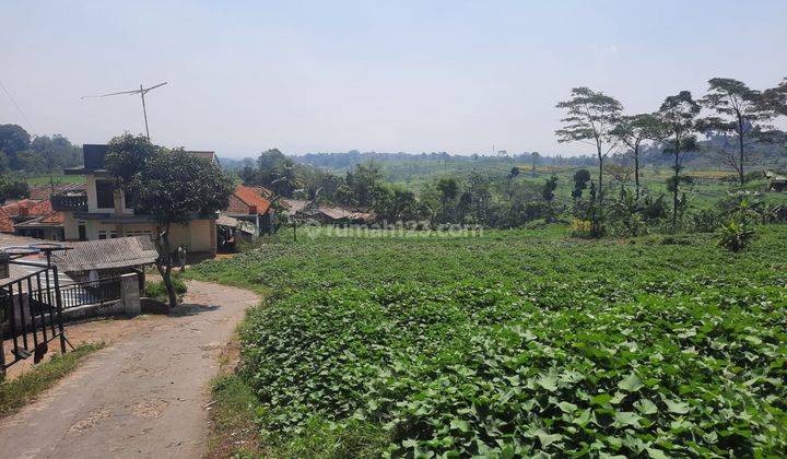 Tanah Murah Untuk Villa Dan Kebun di Bogor Luas 1000 M2 1