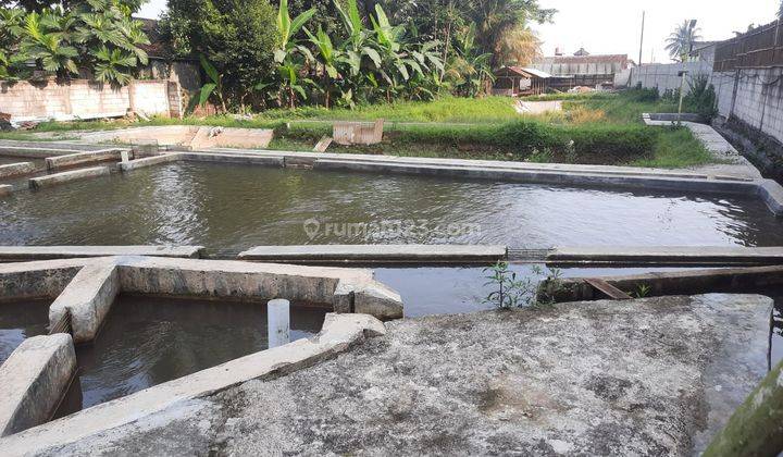 Tanah Kolam Khusus Budidaya Ikan di Bogor Luas 1725 M2 2