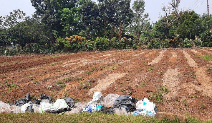 Tanah 1 Ha SHM Siap Bangun Dekat Gerbang 2 Kampus Ipb Dramaga 1