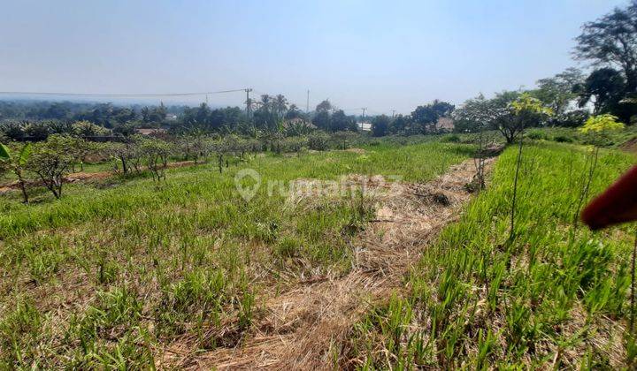 Tanah SHM Subur Strategis View Indah di Dramaga Bogor 2